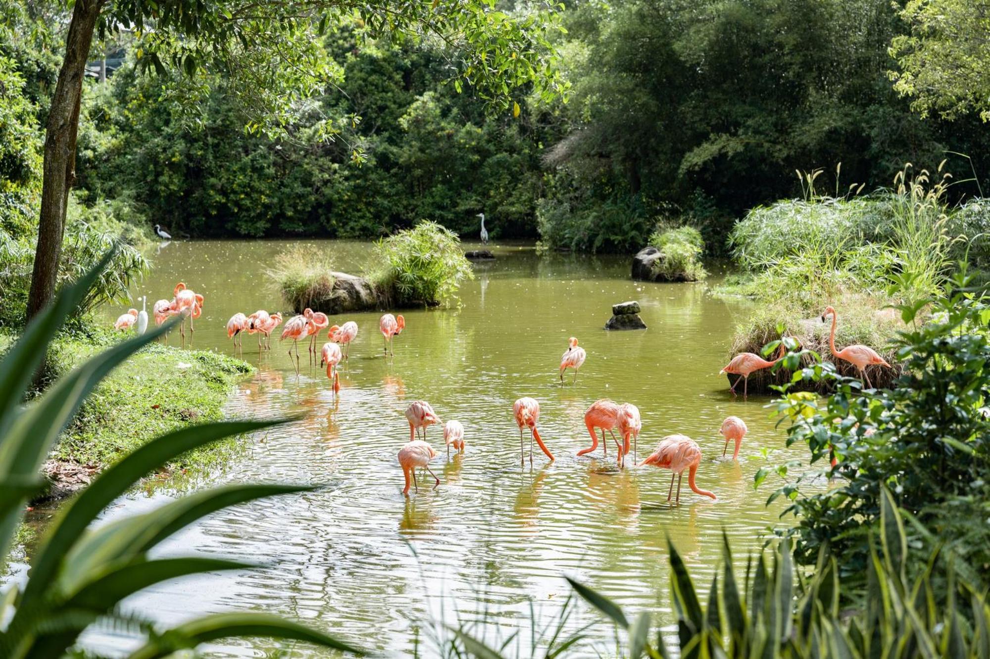 Crowne Plaza Phu Quoc Starbay, An Ihg Hotel Luaran gambar